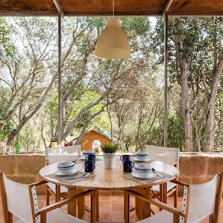 Casa Sarg Dorat- Nou *