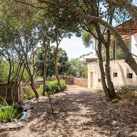 Casa Sarg Dorat- Nou Holiday home *